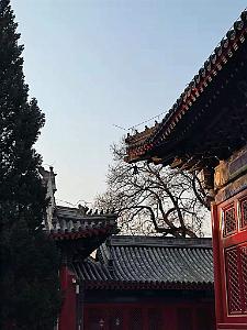 2023 02 05  PEKIN - WANSHOU TEMPLE LONGEVITE BIENVEILLANCE (27)